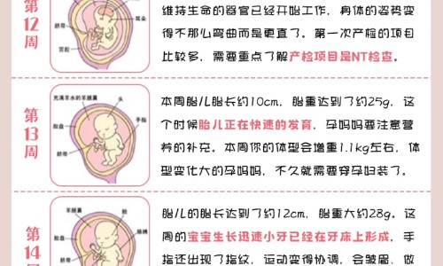 做了血管瘤后吃什么食物好网 - 网站提供做了血管瘤后吃什么食物好呢小常识、做完血管瘤手术吃什么好